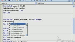 Microsoft Access 2007 Tutorial - How to create a Subroutine