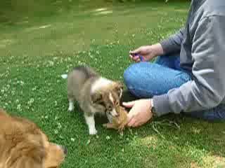 Elfie2  27 juin 2009