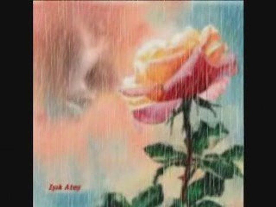 İLKAY AKKAYA_ YARİM