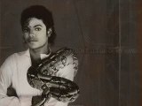 Electro tribute to Michael Jackson 