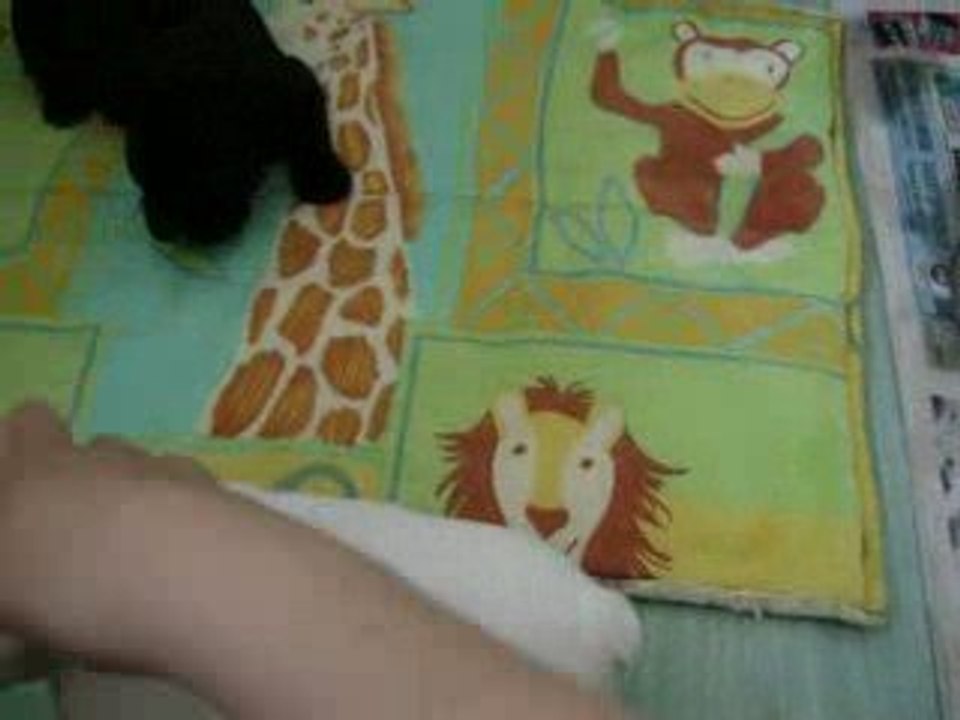vidéo