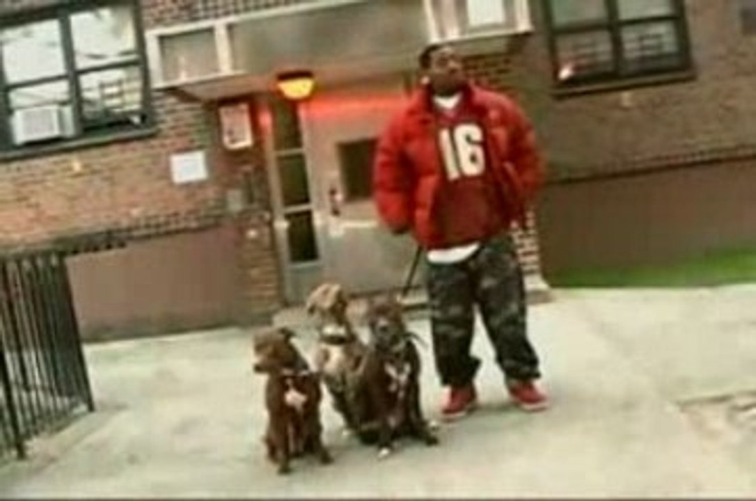 Bloods In Brooklyn Documentary