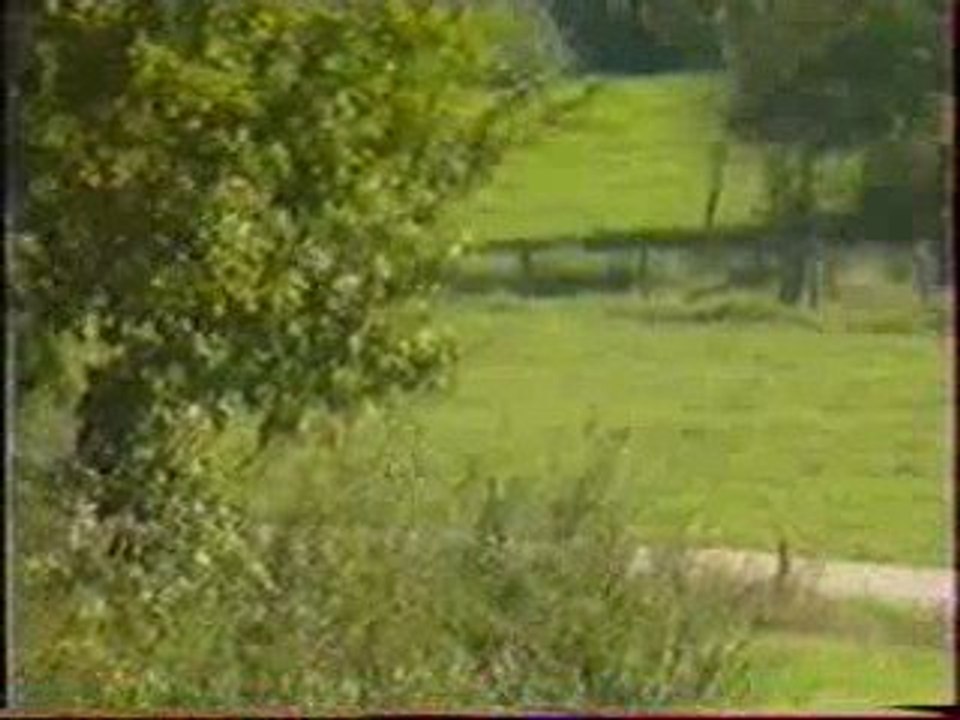 Rallye Stanislas 1994 part. 2