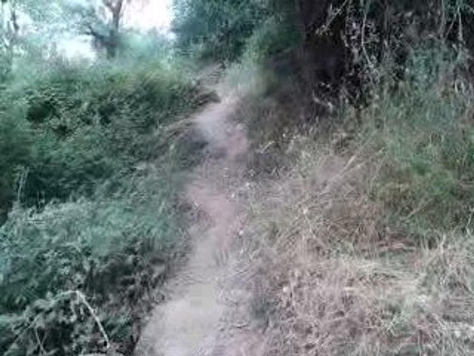 Amar-le sentier