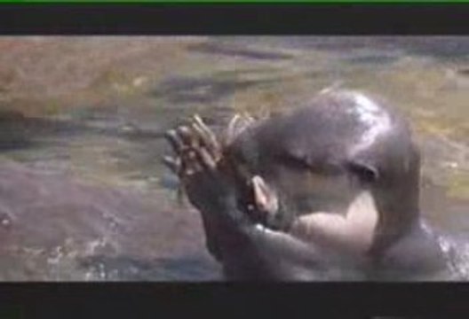 Tanganyika Gölü Belgeseli (3.bölüm)