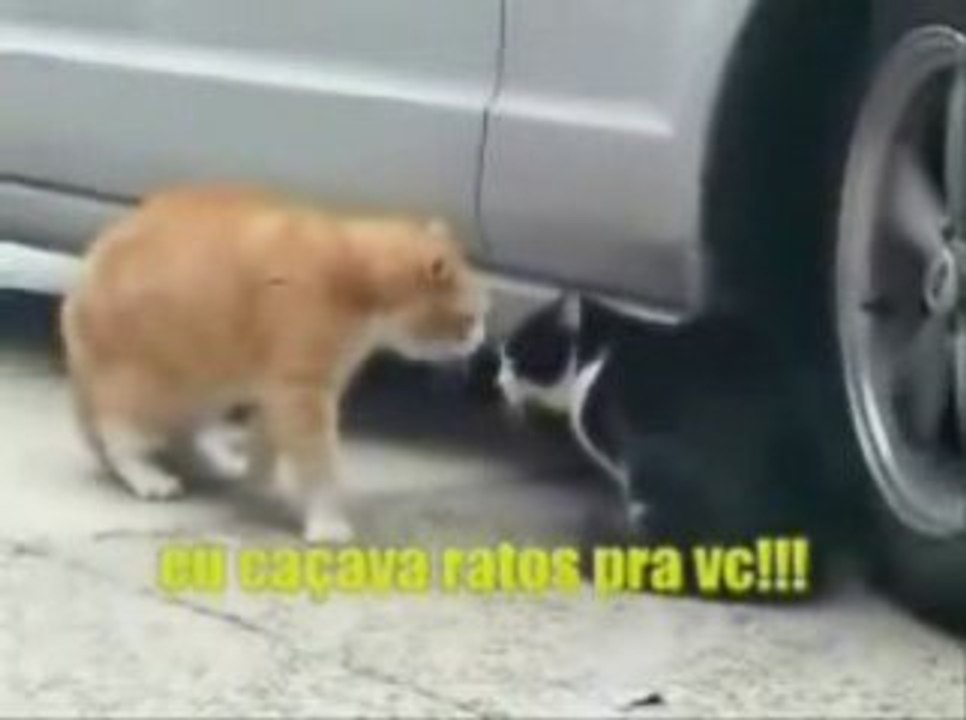 1 ano de namoro...