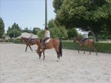 cours obstacle 27 06 2009