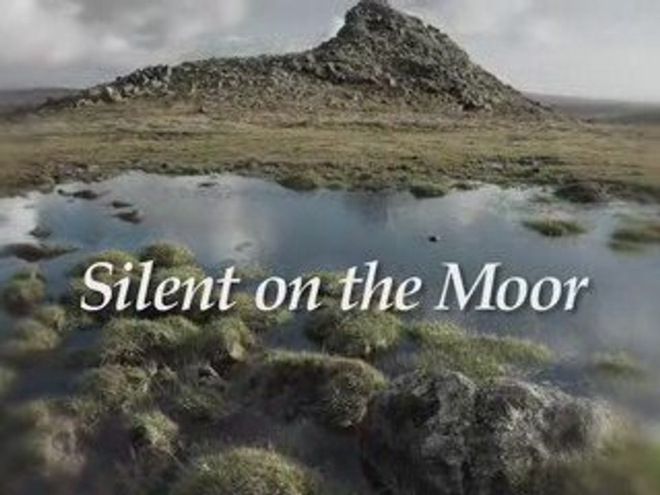 Silent on the Moor
