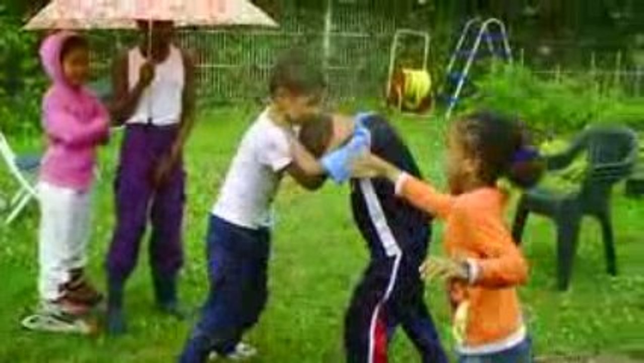 Combat de coq