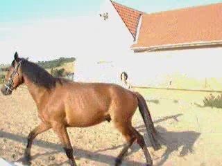 Quartz le 27 juin 2009