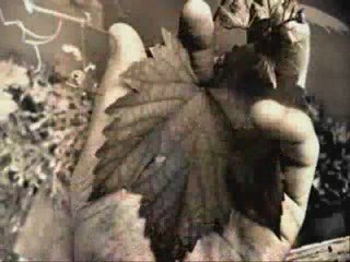 İntizar bir günün bir gününü tutmuyor