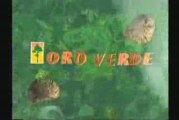Oro Verde (TVN, Chile - 1997) - Opening