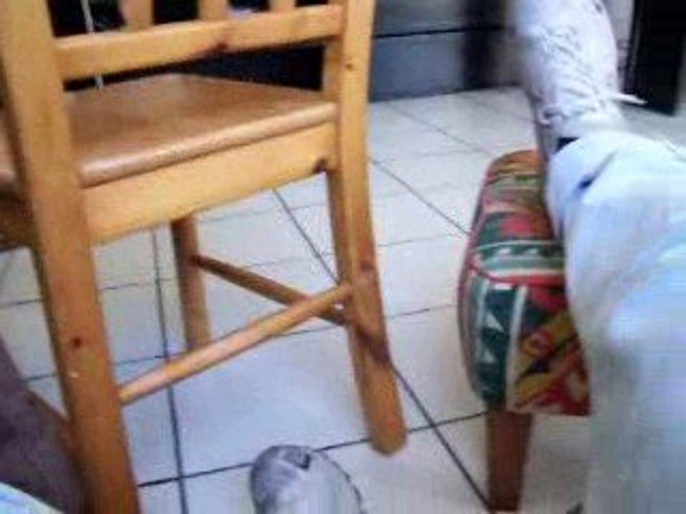 gabriel un petit navire