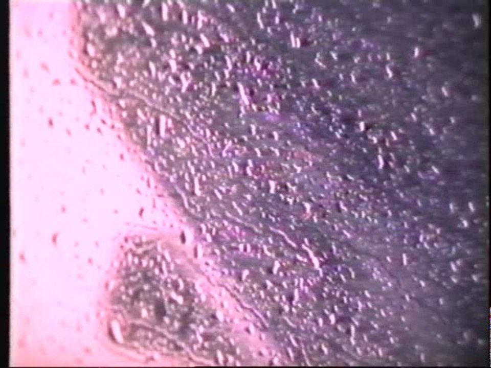 Conrad Schnitzler: Drops