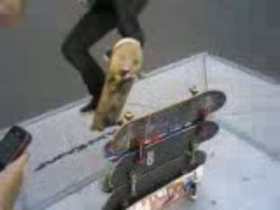 Skate : Ollie par dessus 6 skates !