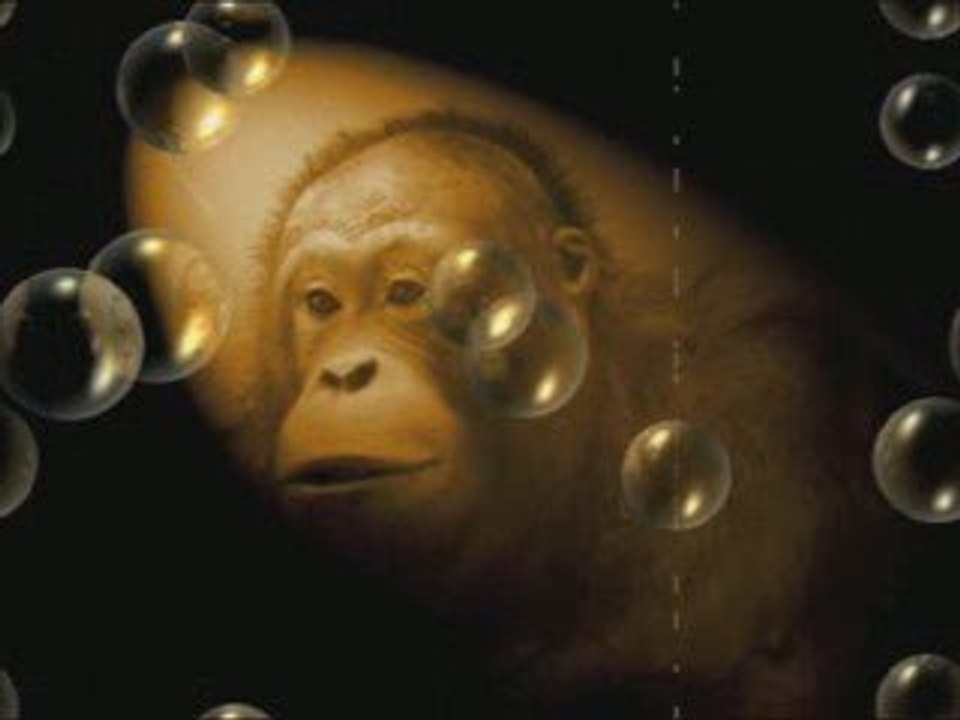 Marchouillart, bientôt sur les écrans