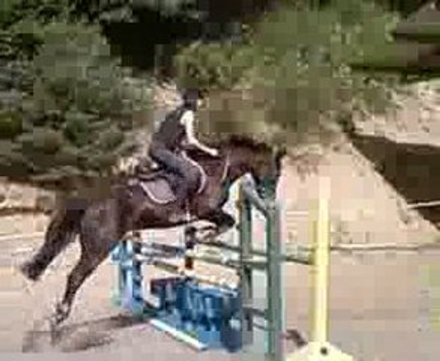 Iris Oxer 1m00