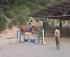 Justy Oxer carré 1m00