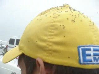 greg et son élevage de puces savantes