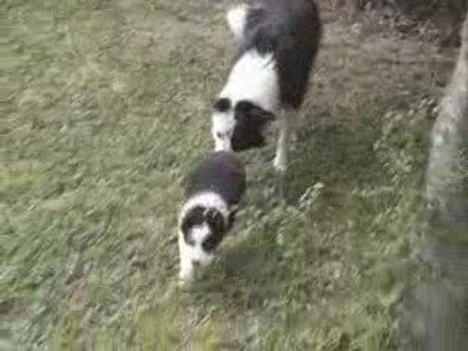 Eldo et Arya