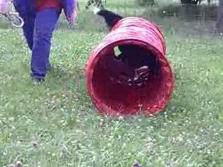 Sest bien amusée!!!!!!