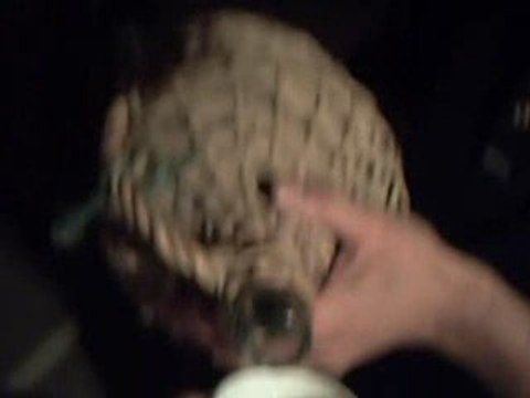 fête de la musique 2009 à Champagne - danse de nuit