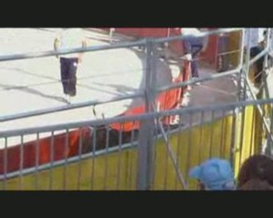 Graine de raseteur le 25 juin à Dions, E.T. bouillargues