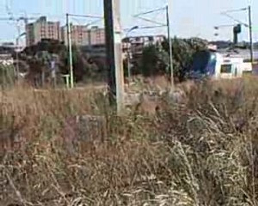 Trains et TGV à la Syene sur Mer