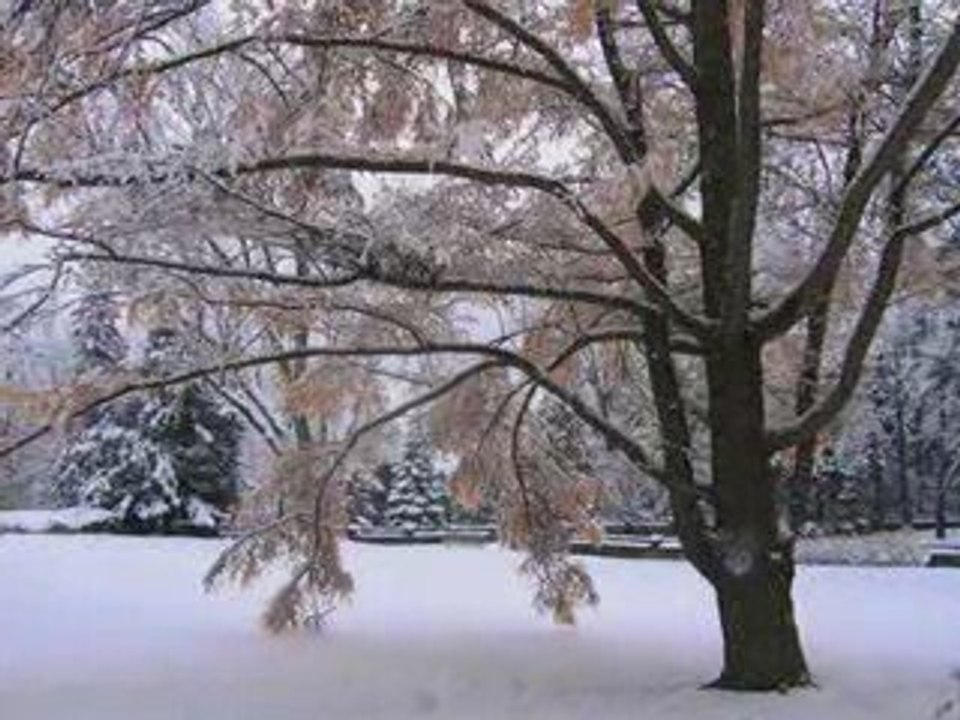 winter memories