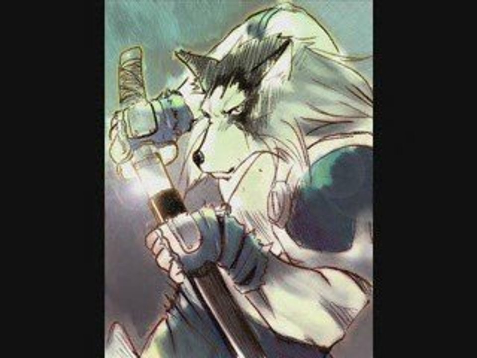 Lobos guerreros / warrior wolves