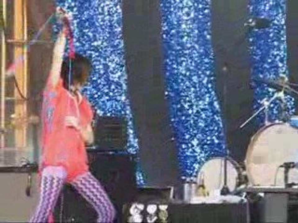 Rock Dans Tous Ses Etats - Yeah Yeah Yeahs - Human Fly