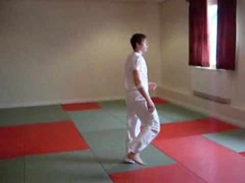 DanEllacott - Martial Arts Tricks