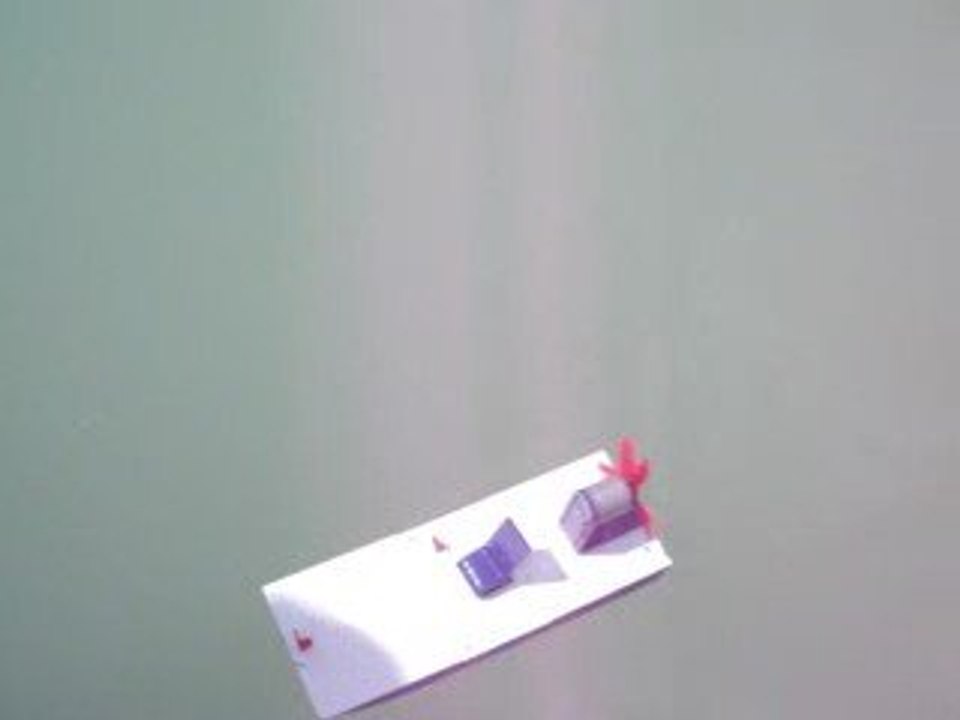 bateau du college