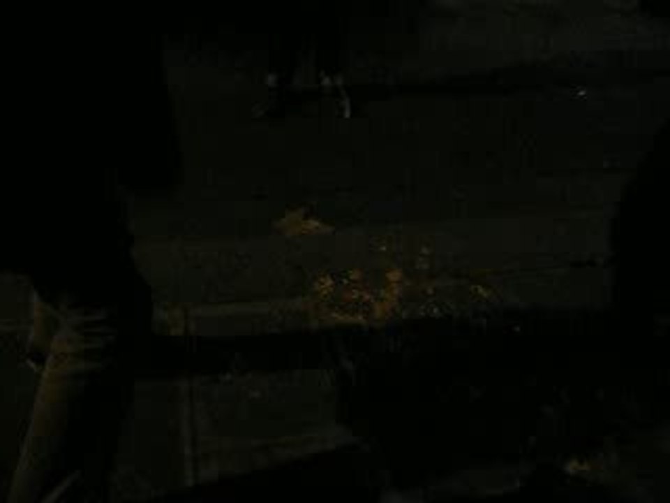 Les Chips'