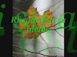 Cengiz özkan & Muherrem Temiz