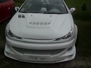 tuning peugeot 206cc