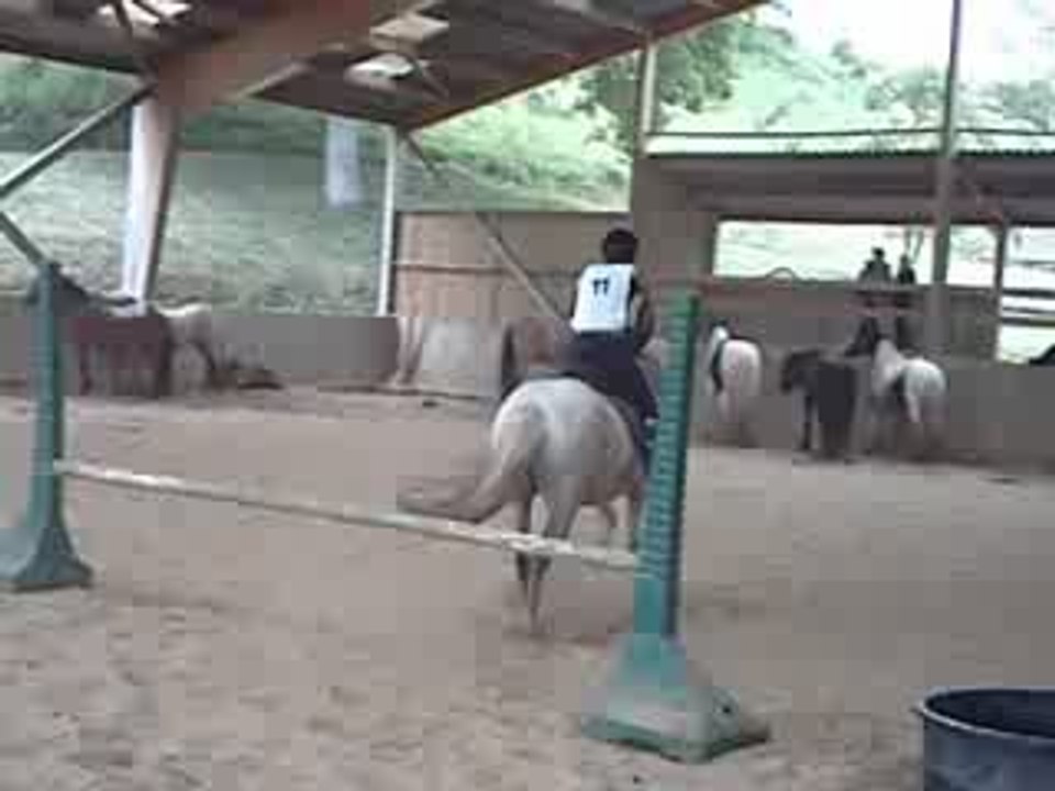 échauffement du trec