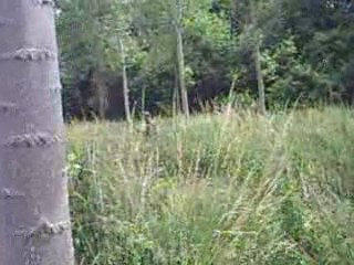 airsoft capture de fort