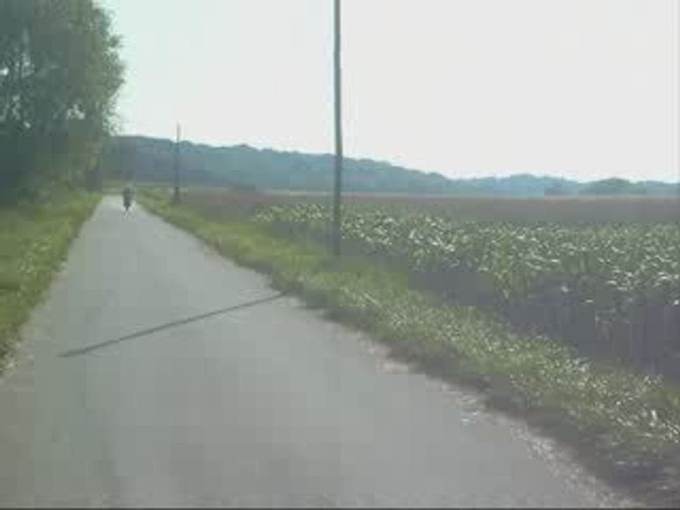 essai mk sp flojira
