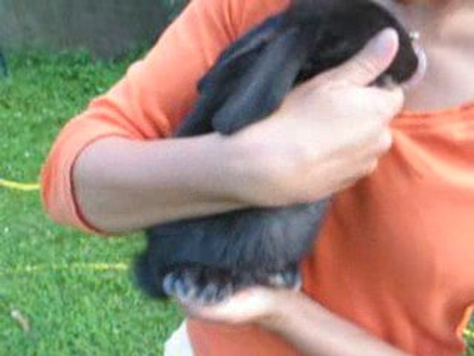 MVI_6494 bébé 2 mois