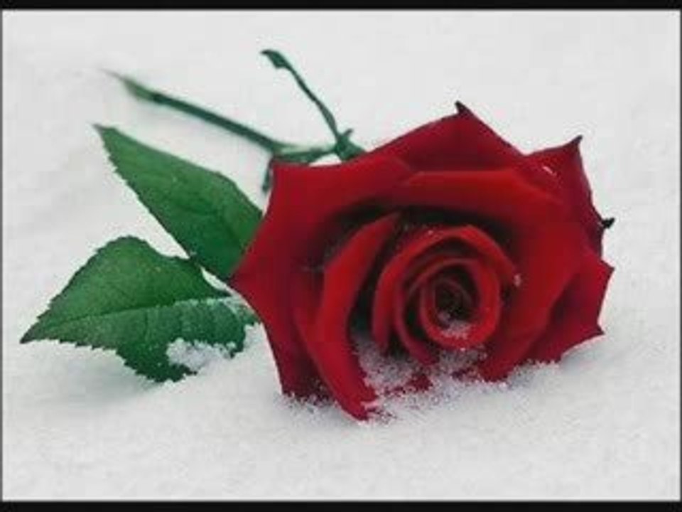 Kubat - Gülüm Slaytı