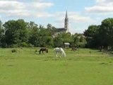 Saint Sébastien sur Loire : poney & église