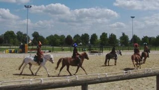 Spectacle d'équitation 2.