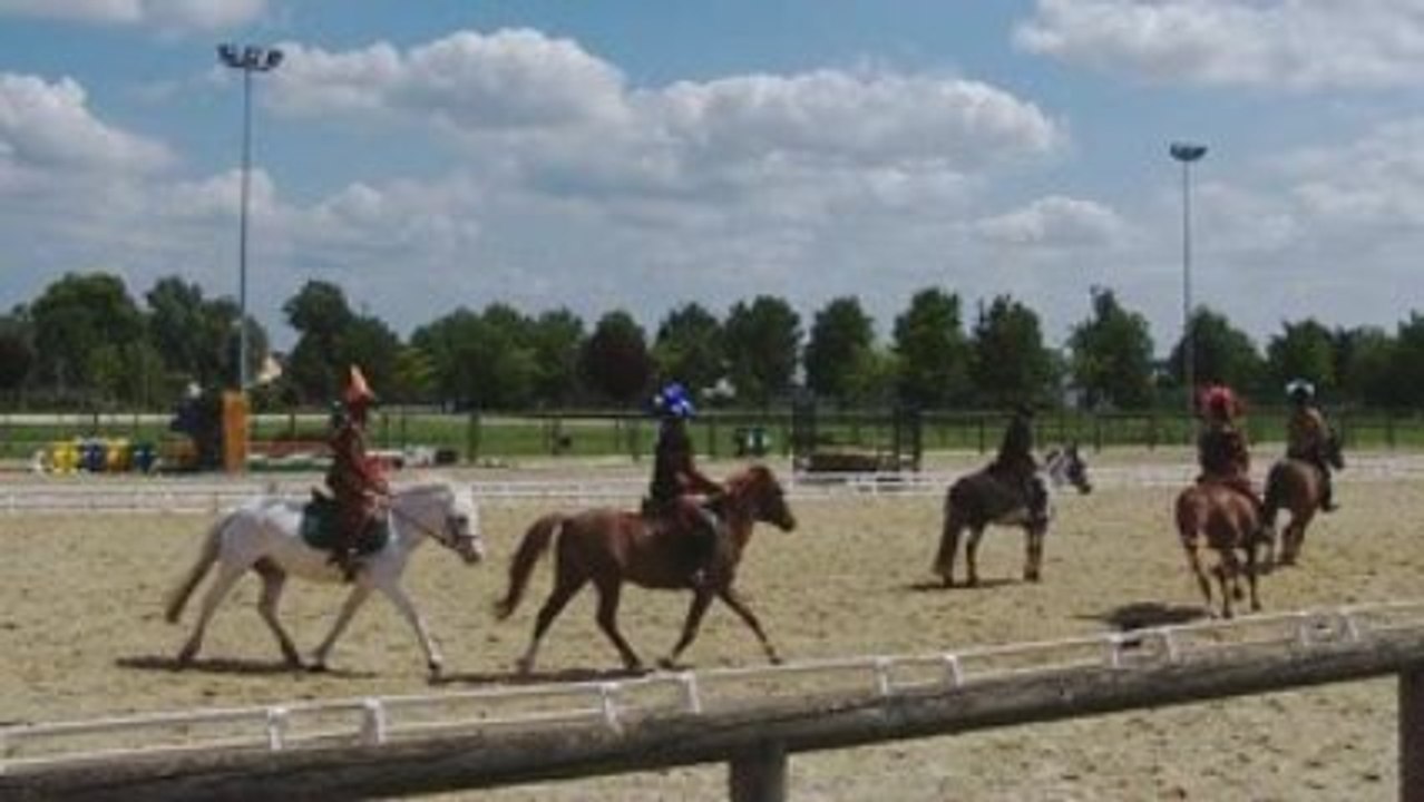 Spectacle d'équitation 2.