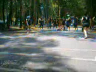 partido set final panteras contra telmex 3