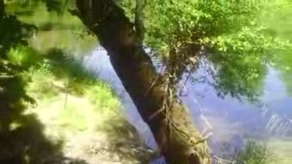 Umqua River- Outside My Hotel Room