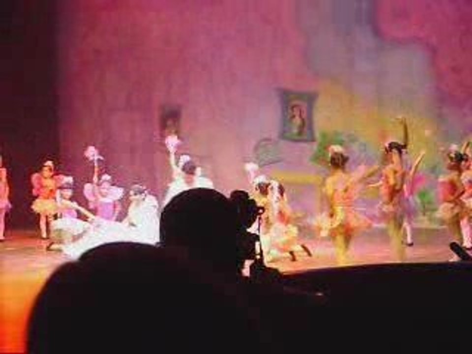 SegundaFuncion_Video15