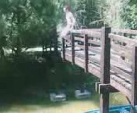 les fils de jackass le retour