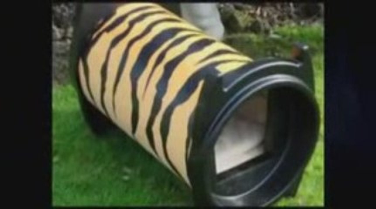 Cat Supply Store