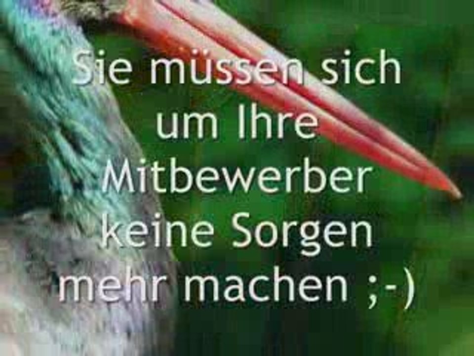 Homepage Erfolg mit Google Suchmaschinen Platzierung Nr. 1